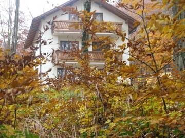 Фото номера Дом с 3 спальнями Дома для отпуска Casa de vacanta Mogosa г. Бая-Сприе 26