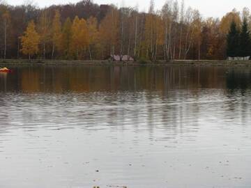 Фото номера Дом с 3 спальнями Дома для отпуска Casa de vacanta Mogosa г. Бая-Сприе 30